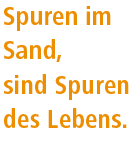 Spuren im Sand